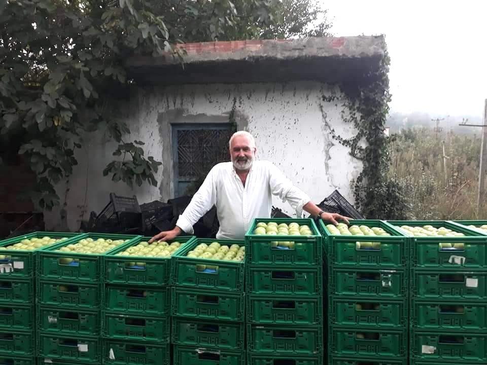 MİGROS'un Elmaları FATSA'dan...