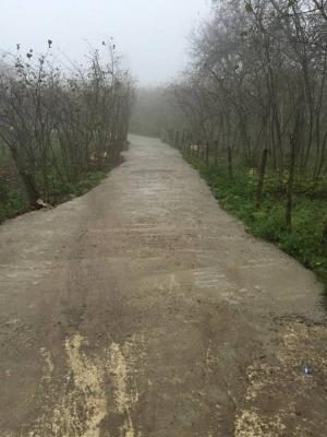 EL ELE VERDİLER YOL SORUNUNU AŞTILAR