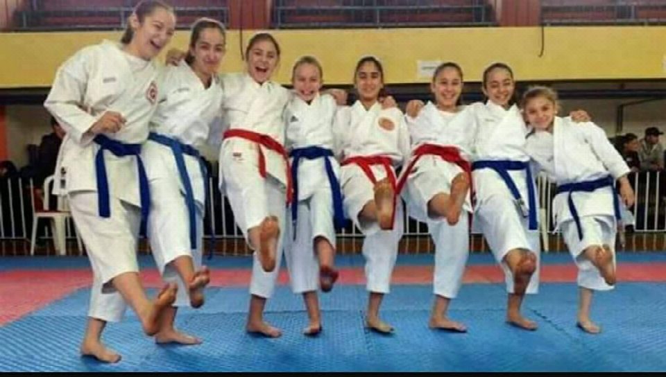 ilçemizde Anadolu Yıldızları Karate Turnuvası gerçekleşecek