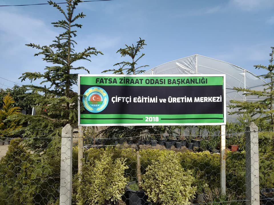 Kaybolmaya yüz tutmuş meyveler tekrar yetiştirildi