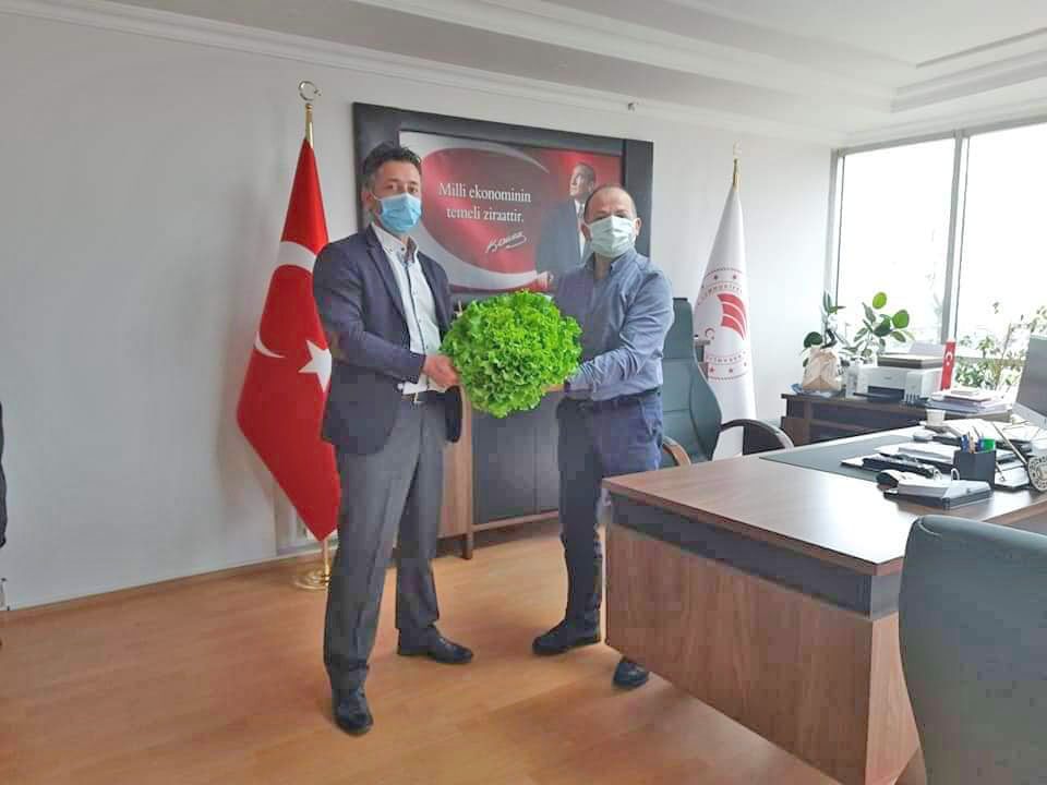 Müdüre marul hediye etti