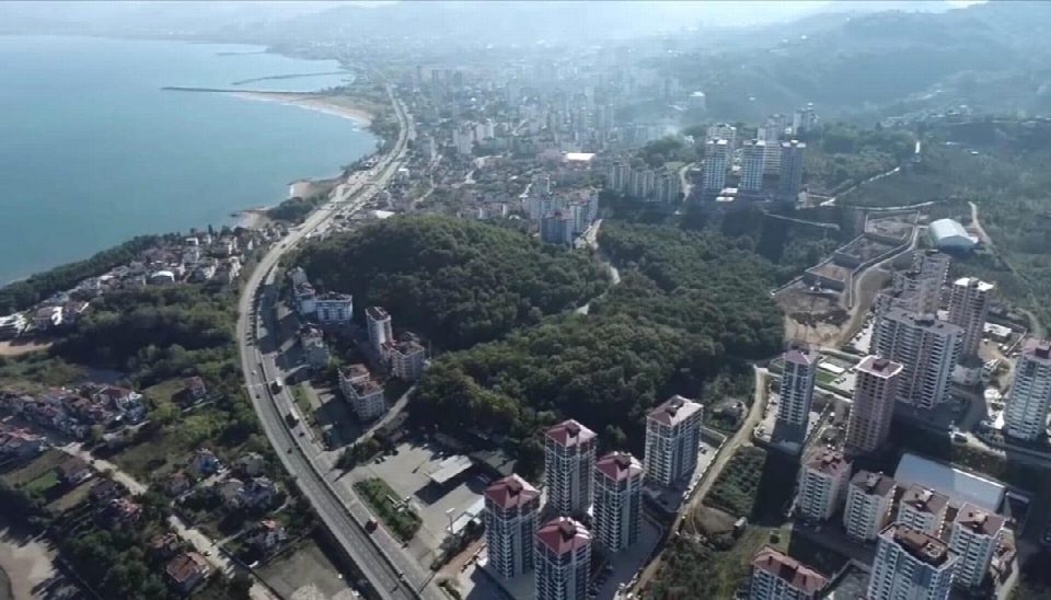 CHP Genel Başkan Yardımcısı Seyit Torun’dan “Fatsa” tepkisi “Üç kuruşluk çıkar için ormanımız yok ediliyor”