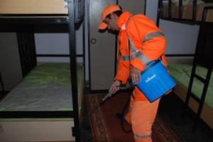 DOMUZ GRİBİNE KARŞI İLAÇLANDIK