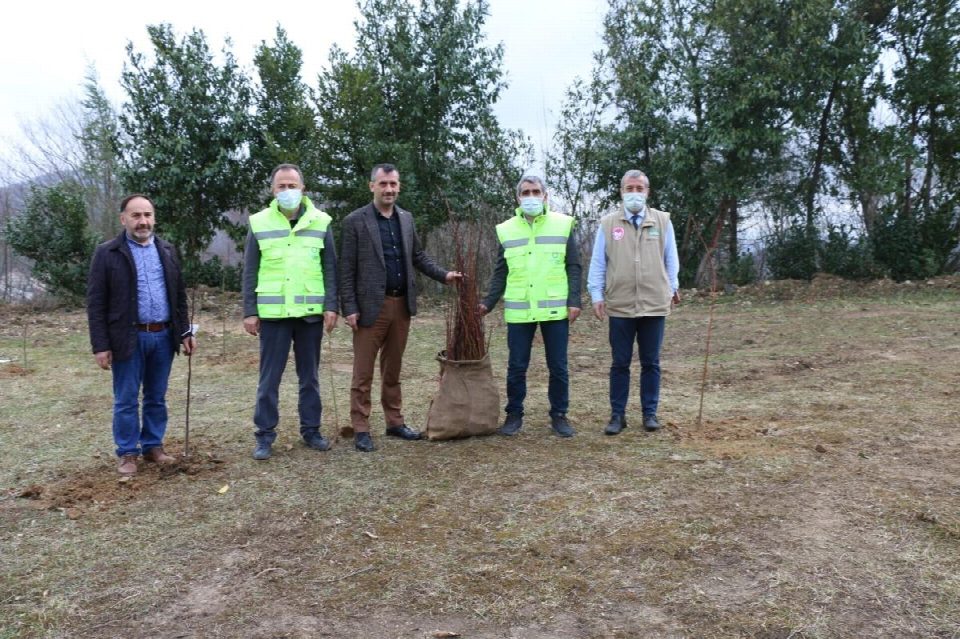 Fidanlar toprakla buluştu