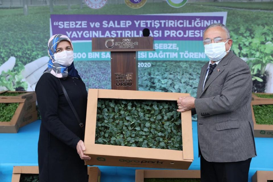 Ordu’da salep atağı
