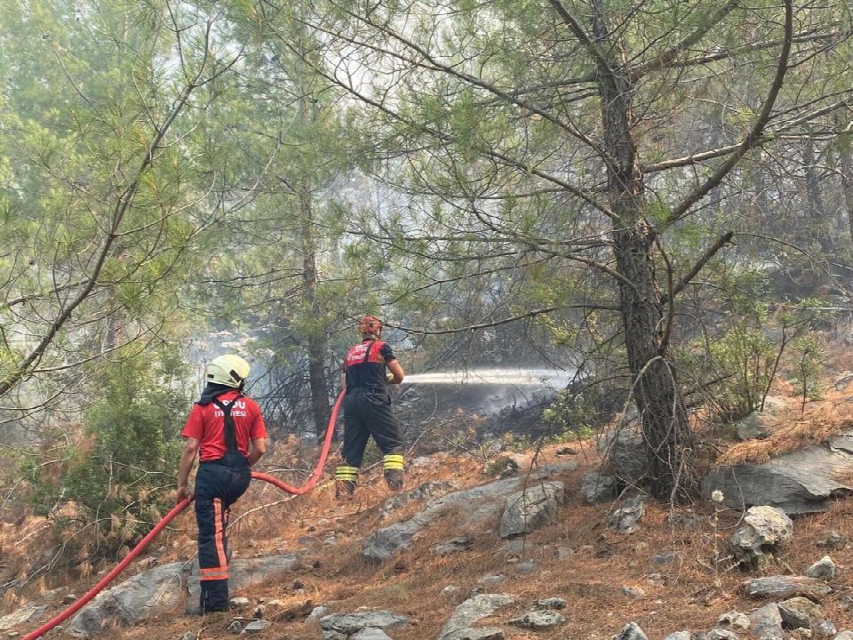 Ordu itfaiyesi yangınlarda canla başla çalışıyor