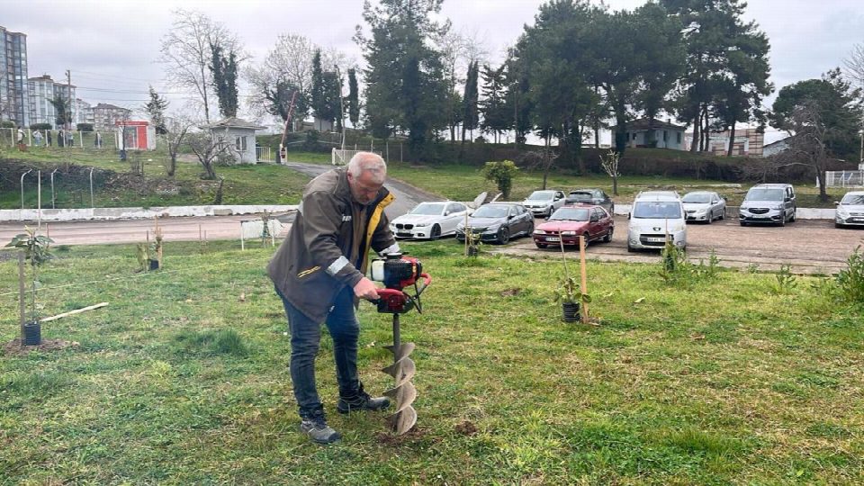 Fatsa belediyesi yeşil alanlarda bakım ve onarım çalışmalarına hız verdi