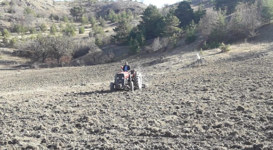 ORDU’DA SİYEZ BUĞDAYI DENEME EKİMİ YAPILDI