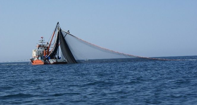 TÜDAV’ın 2017 raporu: “Karadeniz giderek Akdeniz oluyor”