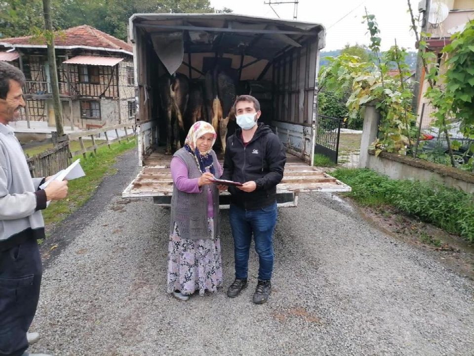 3 ineğini otele bıraktı