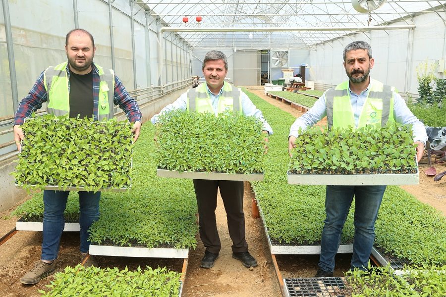 100 bin fide çocuklar aracılığı ile üritecilerle buluşacak