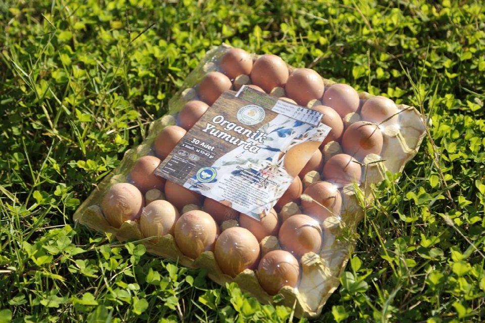 Migros, Ordu’da yumurta üssü kurdu