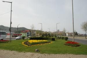 YEŞİL FATSA ADINI KORUYOR
