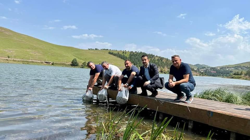 70 Bin Tatlı Su Sazanı Perşembe Yaylası Göletine bırakıldı