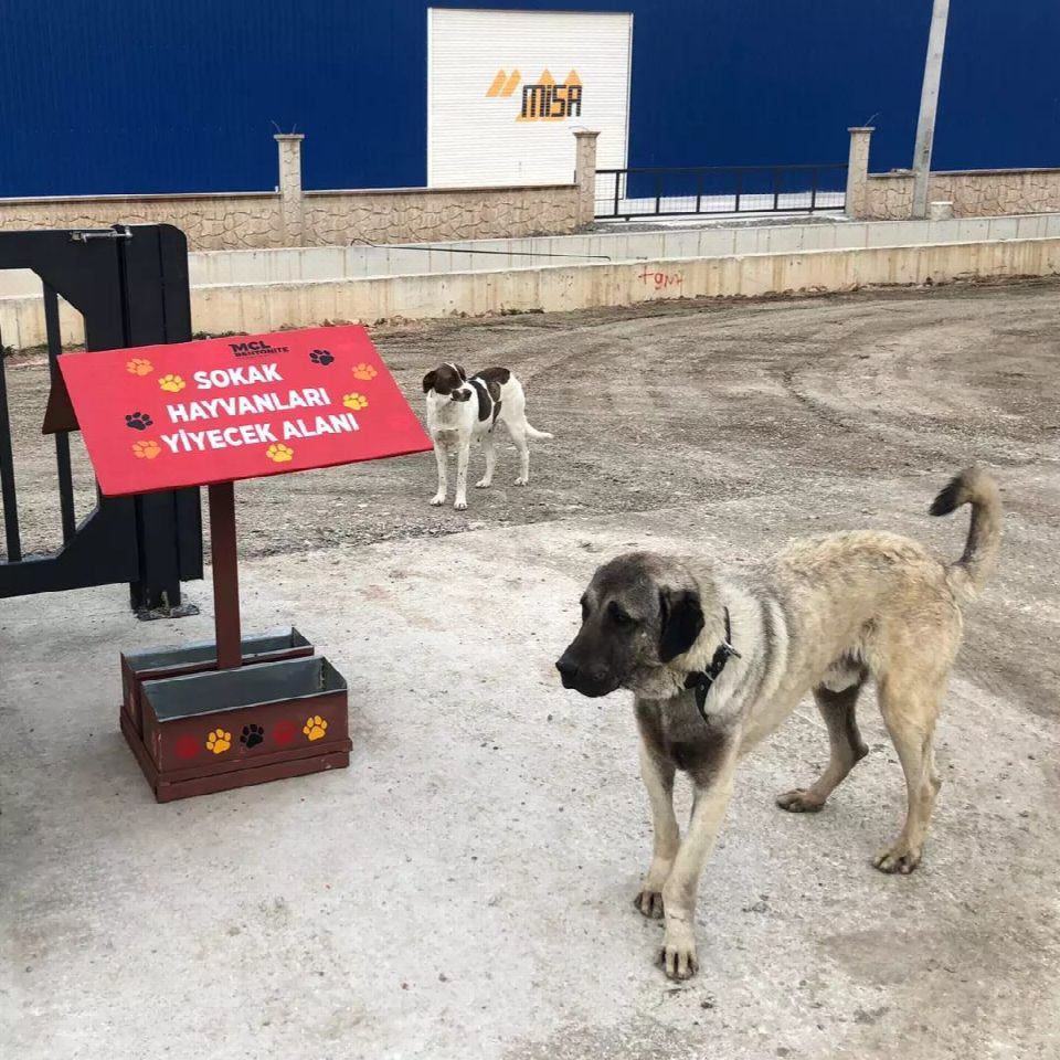 OSB’de sokak hayvanları için gıda atıkları mamaya dönüşüyor