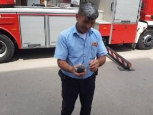 Kedilerden kaçan yaralı Güvercin kurtarıldı