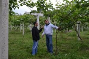 Sekiz dönüm Kivi Bahçesi Dondan Yanan İlker Tandoğan ‘’Ocağıma ateş düştü’’