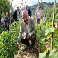 Başkan Güler’in Tarım Projesi 72 milyon lira kazandırdı