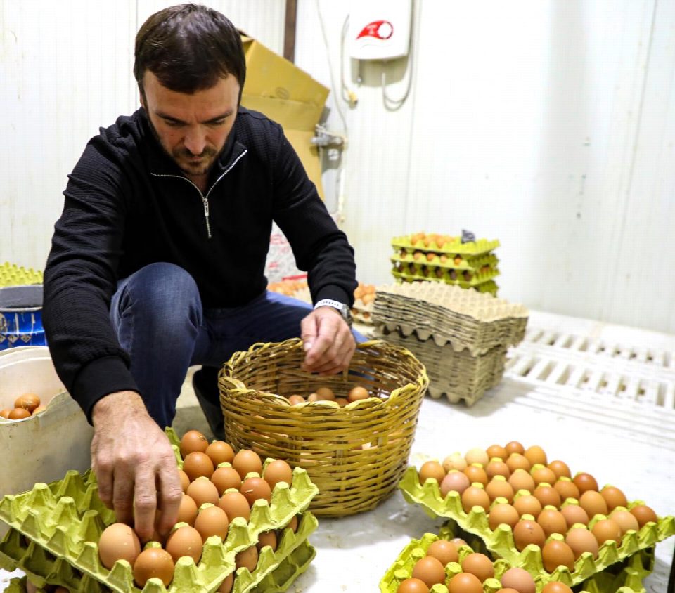 Yumurta sektörü başkan Güler sayesinde ayağa kalktı