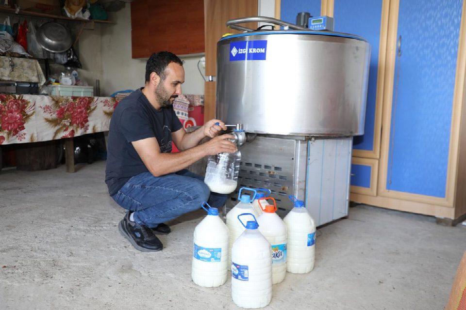 Ordu’da sütün değeri arttı ...Büyükşehirden süt üreticisine önemli destek
