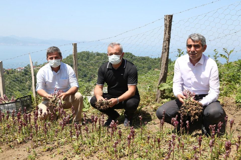 Başkan Güler’in projeleri meyvelerini vermeye devam diyor