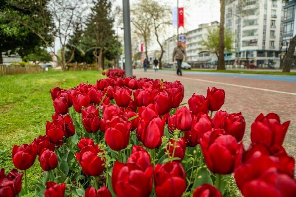 Ordu’nun güzelliğine güzellik katan çalışma