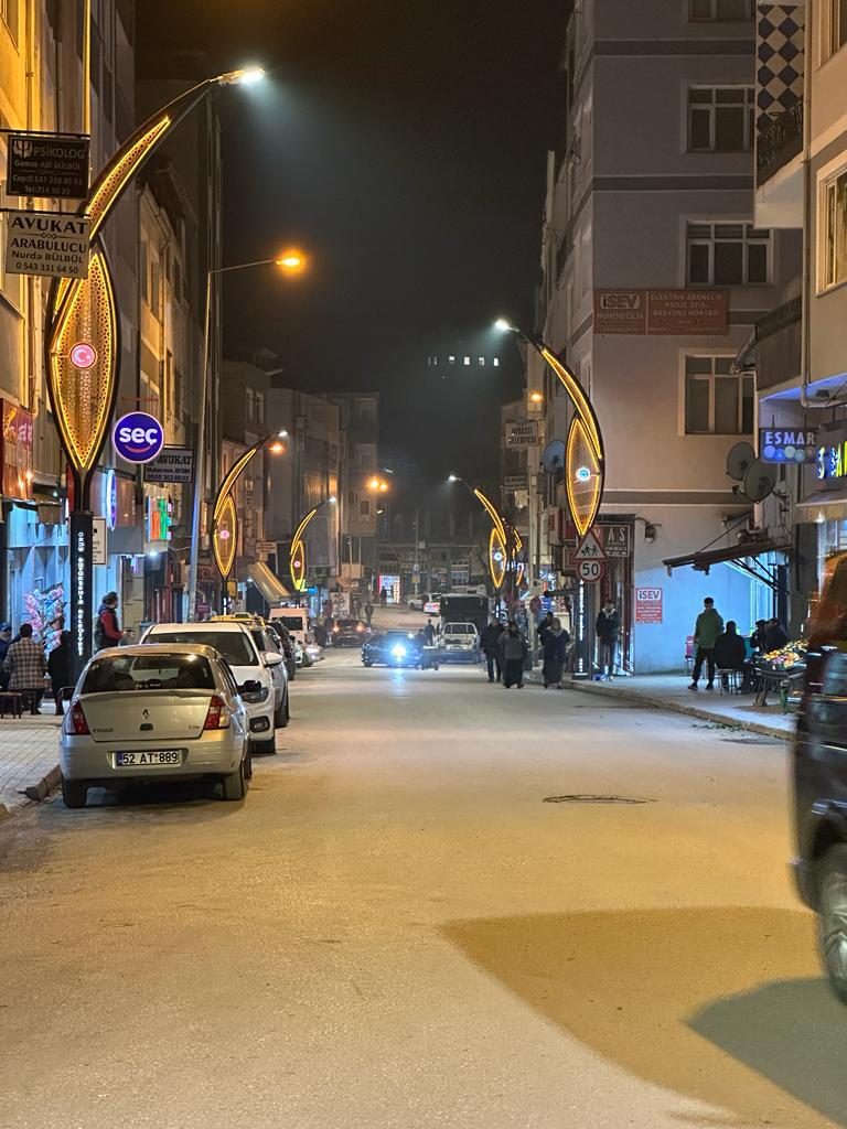 BÜYÜKŞEHİR İLÇELERİ IŞIL IŞIL YAPIYOR