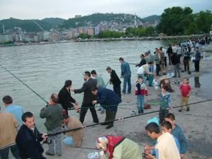 İSKELEDE BALIK BEREKETİ