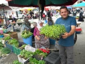 Fide Satışlarında Patlama