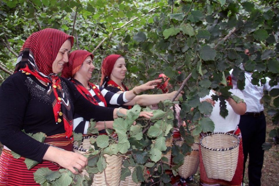“Fındık dalda, aklın işçide kalmasın” projesinde başvurular başladı