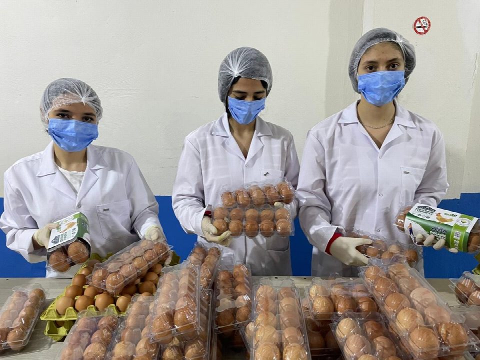 Birleşik Arap Emirlikler’ine aylık 1 milyon adet organik yumurta gönderilecek