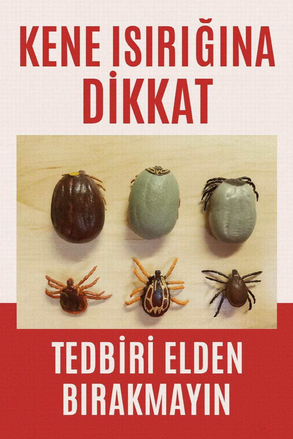Kenelere dikkat! – Kkka hakkında uyarı