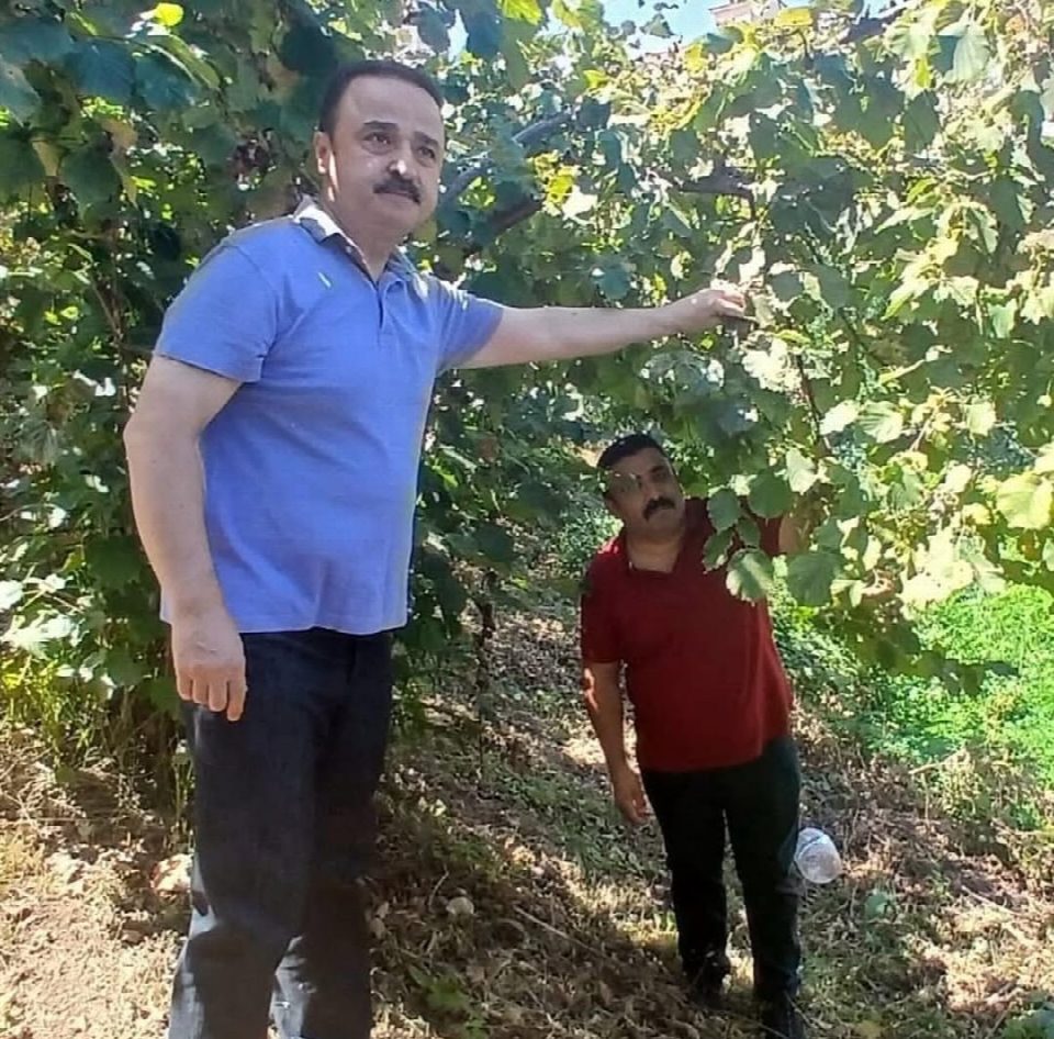 MHP Ordu Milletvekili Naci Şanlıtürk’ten Fındık Açıklaması