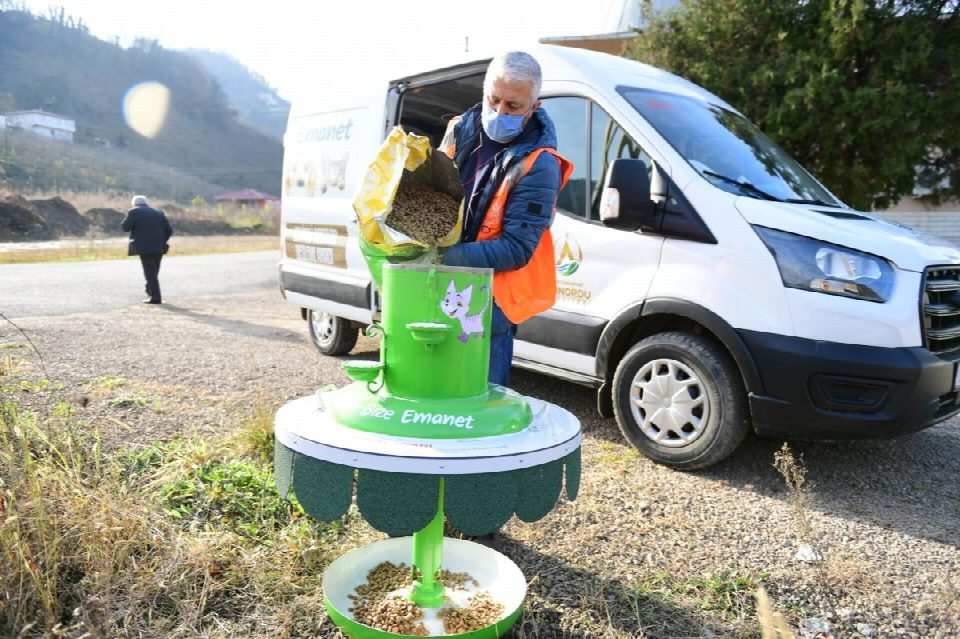 Sokağa çıkma kısıtlamalarında da can dostlar unutulmuyor