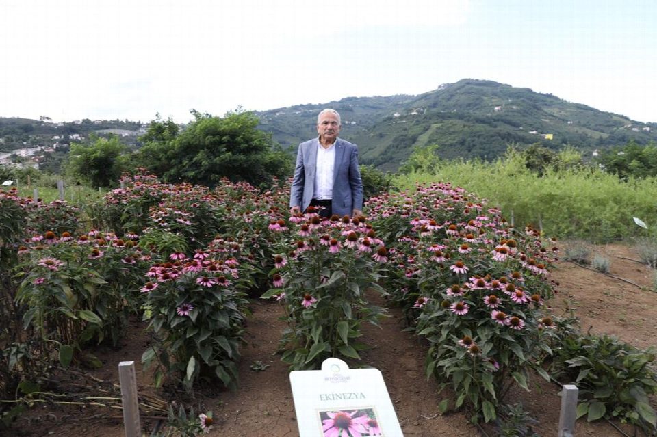 Başkan Güler’in vizyonu üreticiye kazandıracak ...“Ordu ekonomisine yeni bir boyut kazandırmak istiyoruz”