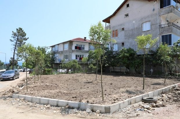 Fatsa Belediyesinden yeşillendirme çalışmaları