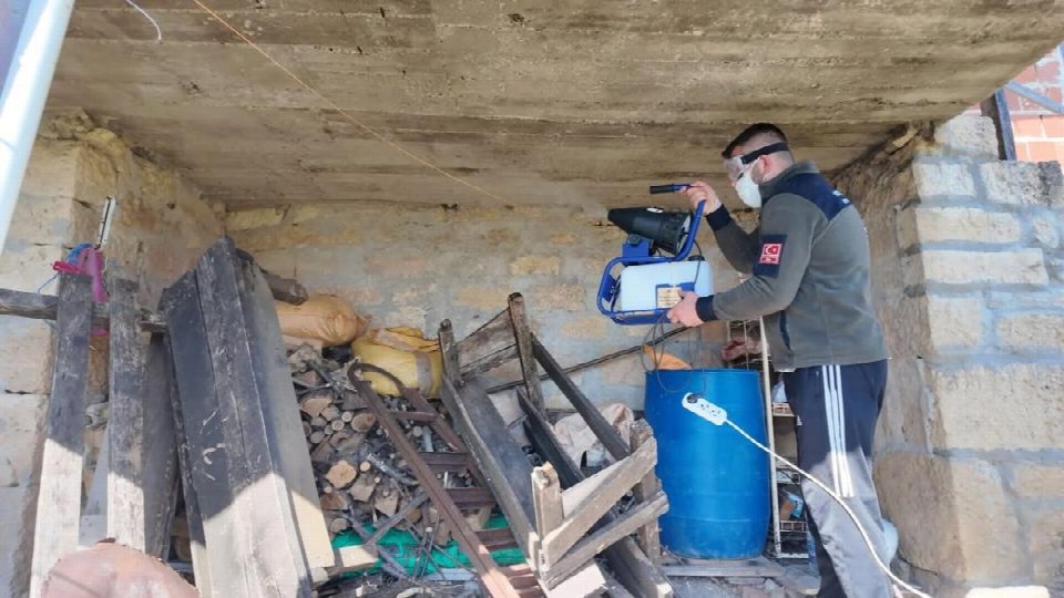 Fatsa’da kokarca zararlısına karşı 89 mahallede kesintisiz mücadele