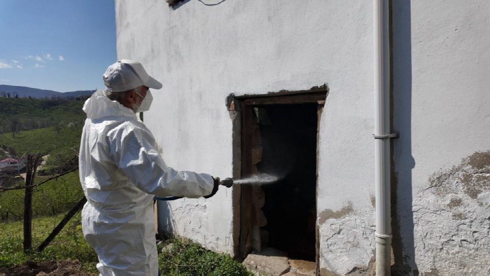 Kokarca İle Mücadelede Seferberlik: Fatsa Kırsalında İlaçlama Hız Kesmiyor