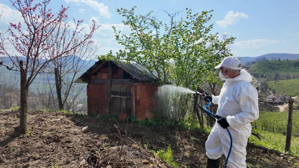 Kokarca ile mücadelede seferberlik: Fatsa kırsalında ilaçlama hız kesmiyor