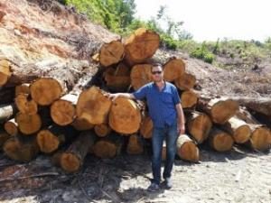 ORMAN ARAZİSİNDEKİ AĞAÇLARDAN 450 BİN TL GELİR ELDE EDİLDİ