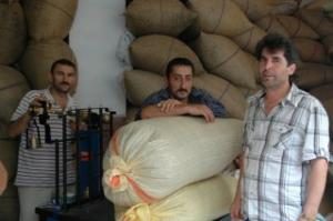GURBETCİ TÜCCARDAN FATSALI ÜRETİCELERE FİYAT JESTİ 4 TL