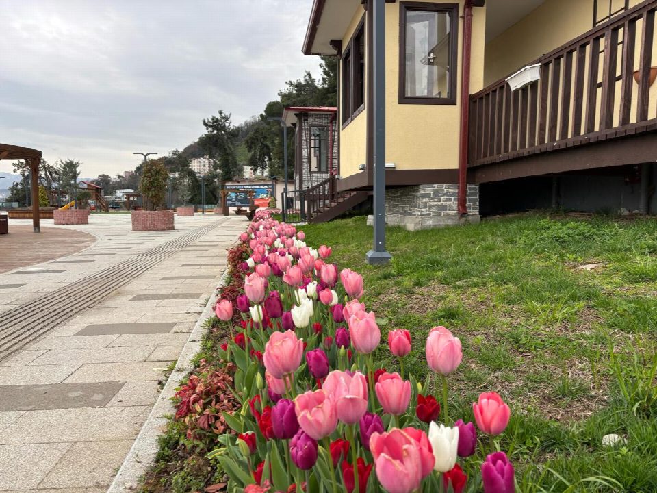 Ordu’da görsel şölen