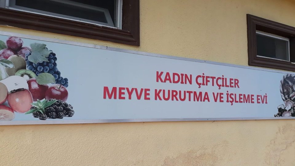Fatsa’da yapılan Pestil, Pekmez, meyve kurusu ve suları Ankara’ya gidiyor