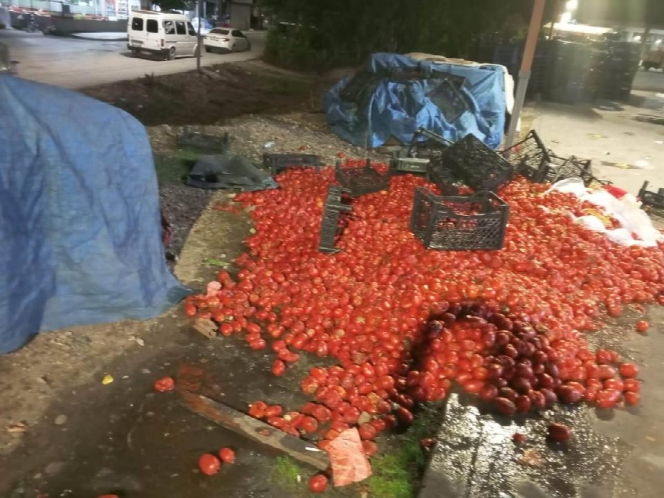 Fatsa kapalı pazar yerinde domatesler yere döküldü: Temizliği kim yapacak?