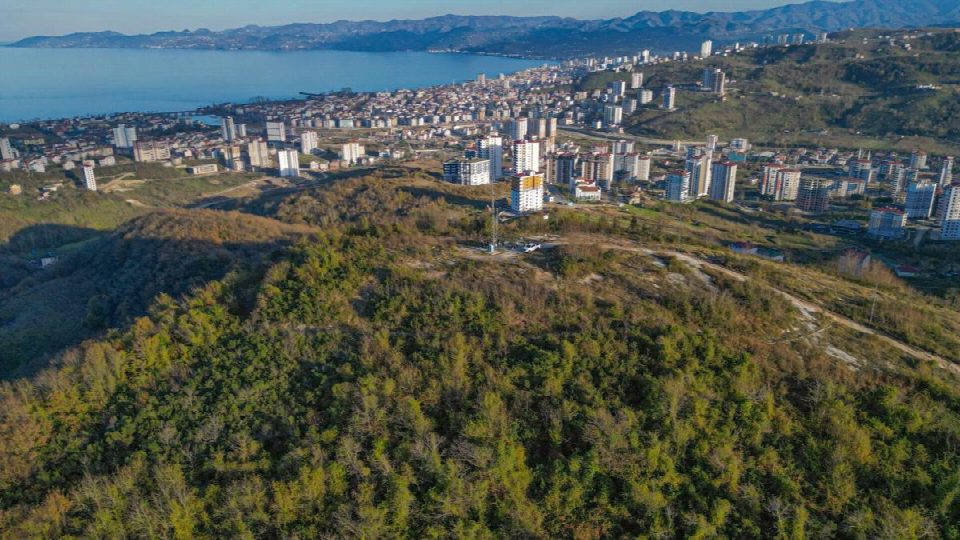 Terzioğlu tepesine millet ormanı projesi