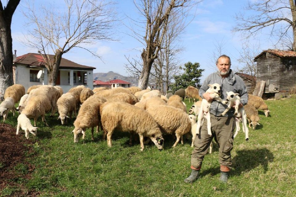 Tarım ve hayvancılıkta devrim