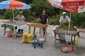 FINDIK ÜRETİCİSİ YOLLARDA TEZGÂH AÇTI
