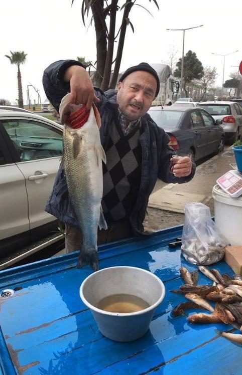 Fatsa’da 5 kilo ağırlığında levrek yakalandı