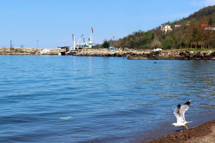 Fatsa’da büyüleyen manzara