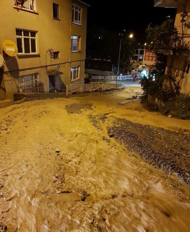 Allah Beterinden Korusun...